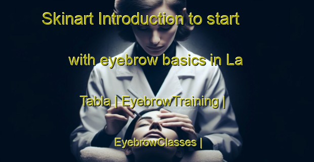Skinart Introduction to start with eyebrow basics in La Tabla | EyebrowTraining | EyebrowClasses | SkinartTraining-Mexico